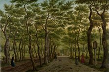 Footpath in the Haagse Bos, 1778. Creator: Paulus Constantijn la Fargue.