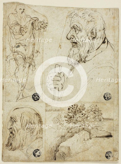 Four Sketches: Standing Male Figure; Profile Bust of Bearded Man; Profile Head of Bearded..., n.d. Creator: Agostino Carracci.