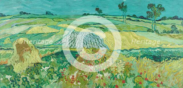 The Auvers plain, 1890. Creator: Vincent van Gogh.