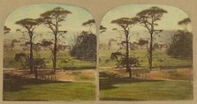 Greenwich Hospital, about 1860. Creator: London Stereoscopic & Photographic Co.