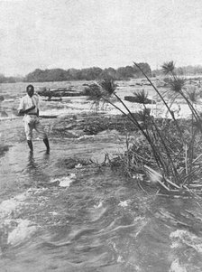 ''Rapides du Zambeze en amont des chutes Victoria; Afrique Australe', 1914. Creator: Unknown.