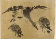 Two herons and a goose, Edo period, 1573-1615. Creator: Unknown.