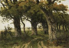 Avenue of Oaks in Late Summer, Between 1880 and 1900. Creator: Bilders-van Bosse, Maria (1837-1900).