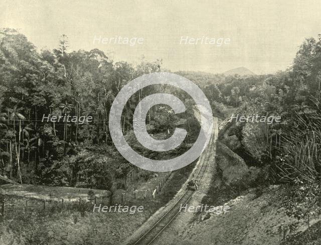 'In the Blackall Ranges', 1901. Creator: Unknown.