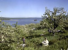 Children in the countryside during summer holidays, 1950s. Artist: Göran Algård