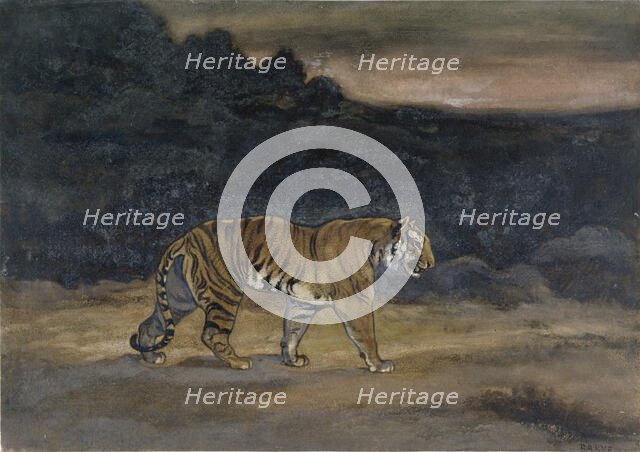Tiger Walking, c1850s-1860s. Creator: Antoine-Louis Barye.