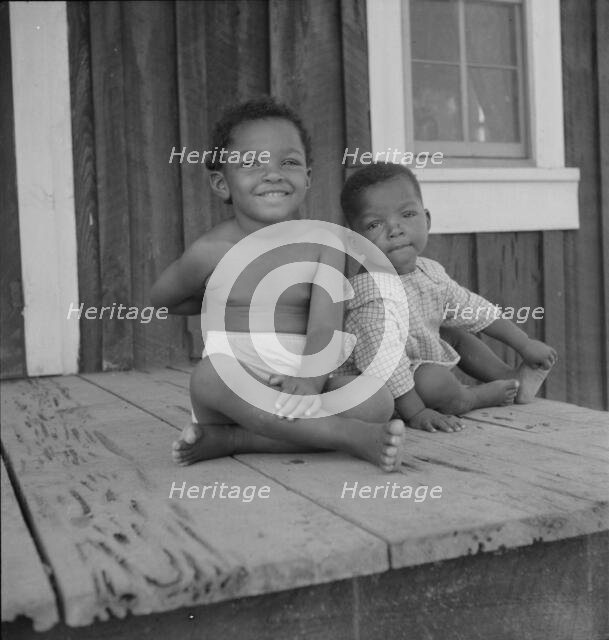 Children of the Delta cooperative farm, Hillhouse, Mississippi, 1937. Creator: Dorothea Lange.
