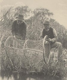 Setting Up the Bow-Net, 1886. Creator: Dr Peter Henry Emerson.