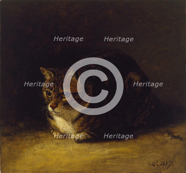Study of a Cat, 1817. Artist: Abraham Cooper.