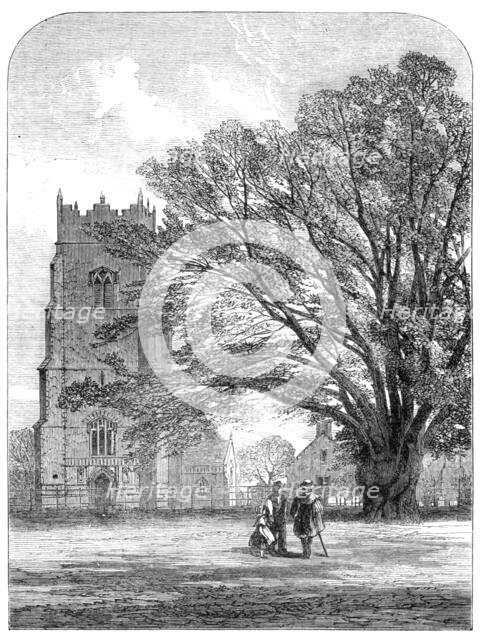 Helmingham Church, Suffolk, 1864. Creator: Unknown.