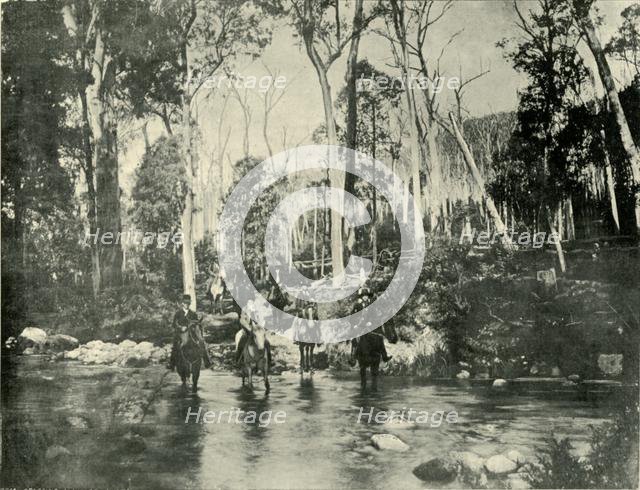 'Crossing the River, Near Buffalo Falls', 1901. Creator: Unknown.