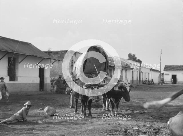 Travel views of Cuba and Guatemala, between 1899 and 1926. Creator: Arnold Genthe.
