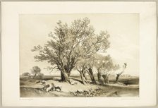 Pollard Willow, from The Park and the Forest, 1841. Creator: James Duffield Harding.