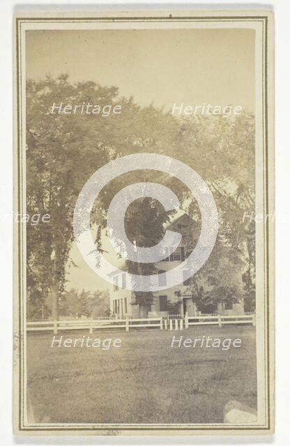 Miss Brown's house and curious elm cross., mid-late 19th century.  Creator: H. O. Bly.