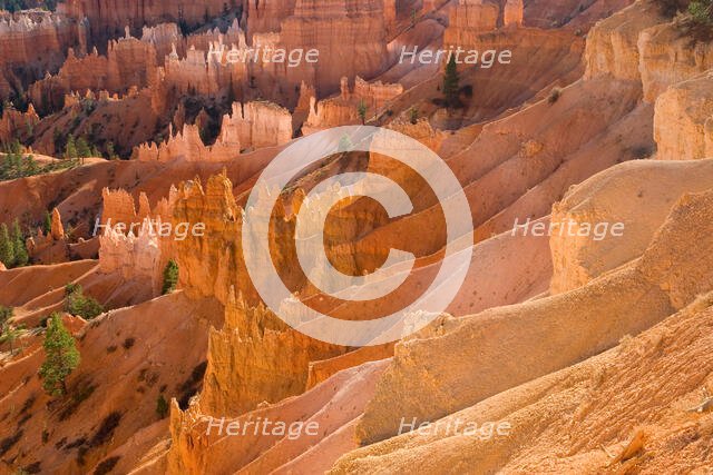 Bryce Canyon. Creator: Tom Artin.