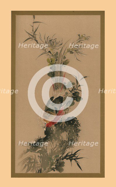 Pheasant, 1832, (1886).  Artist: Witherby & Co.