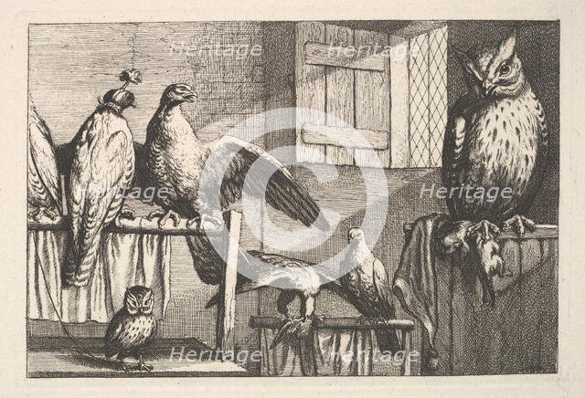 Hawks and owls, 1625-77. Creator: Wenceslaus Hollar.