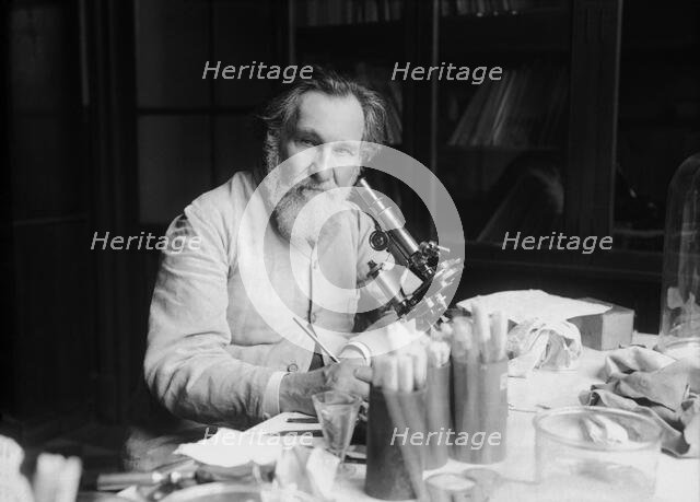 Portrait of Ilya Ilyich Mechnikov (1845-1916), 1913. Creator: Agence Rol (1904-1937).