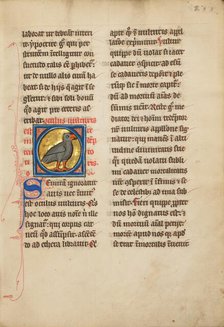 A Vulture; De Natura Avium; De Pastoribus et Ovibus; Bestiarium, 1277 or after. Creator: Unknown.