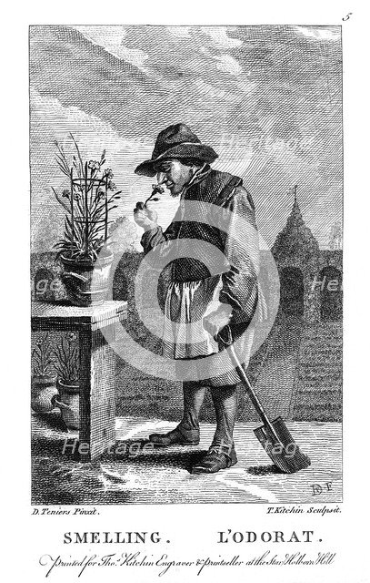 Gardener smelling a carnation or pink (Dianthus), c1750. Artist: Thomas Kitchin