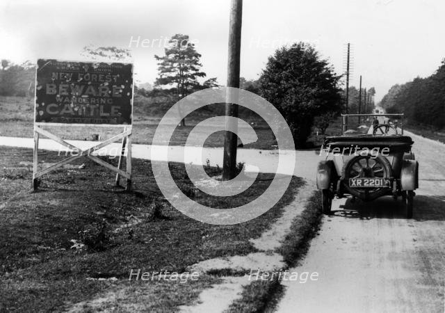 Road sign in New Forest, UK 1924. Creator: Unknown.