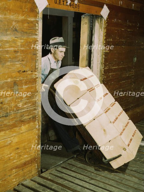 Loading oranges into refrigerator car at a co-op orange packing plant, 1943. Creator: Jack Delano.