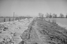The Bessie Levee augmented with sand bags...1937 flood near Tiptonville, Tennessee, 1937. Creator: Walker Evans.