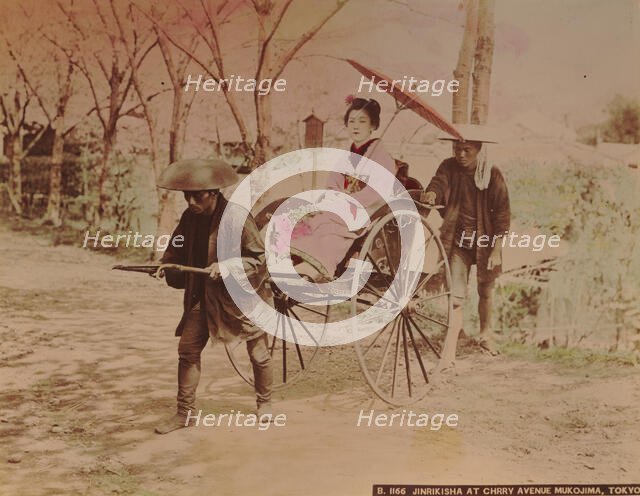 Japanese woman on a rickshaw at Avenue Mukojima, Tokyo, c. 1890. Creator: Kimbei, Kusakabe (1841-1932).