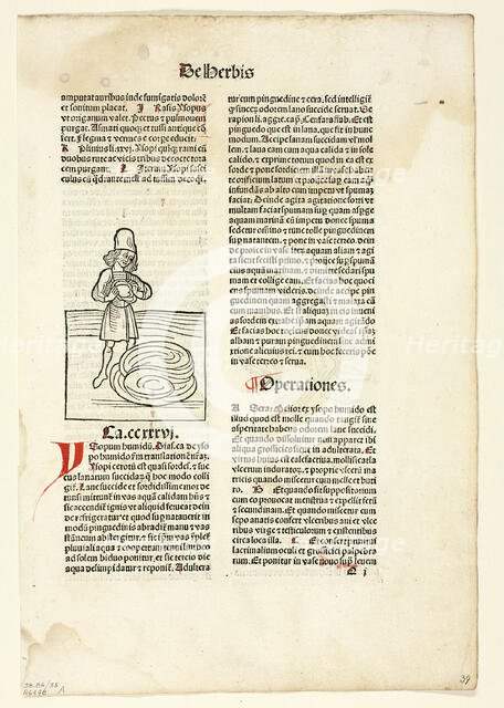 Man purging fluid from lungs (recto) and Plant for abdominal pain (verso)...1491, ... assembled 1929 Creators: Unknown, Jacob Meydenbach, Wilhelm Ludwig Schreiber.