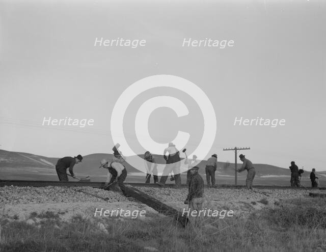 White section gang near King City, California, 1937. Creator: Dorothea Lange.