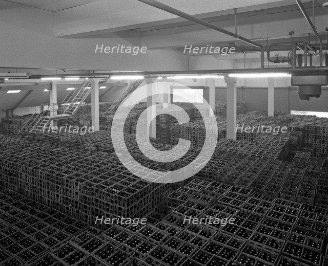 Warehouse full of crates of bottles, Ward & Sons, Swinton, South Yorkshire, 1960.  Artist: Michael Walters