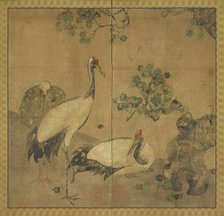 Three cranes under a tree, Edo period, 1615-1868. Creator: Unknown.