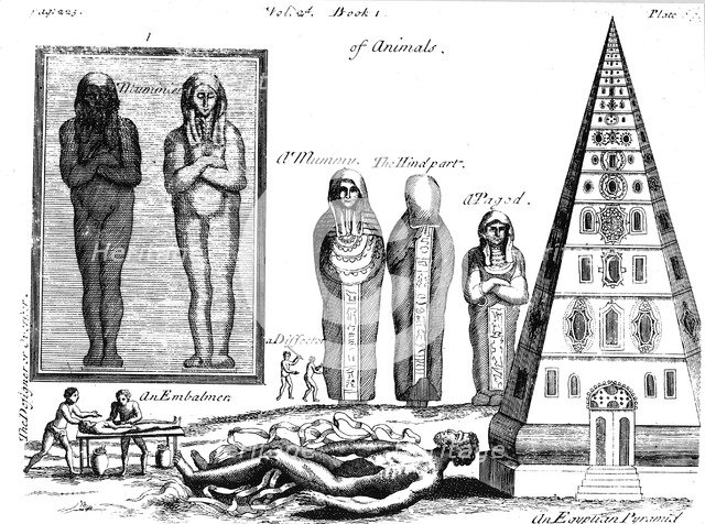 Mummies and embalming, 1725. Artist: Unknown