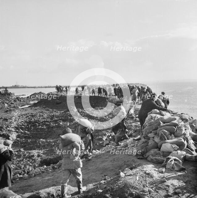 Coryton Oil Refinery, Thurrock, Essex, 02/02/1953. Creator: John Laing plc.