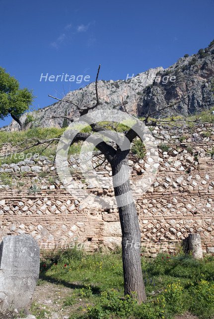 The walls of Delphi, Greece. Artist: Samuel Magal