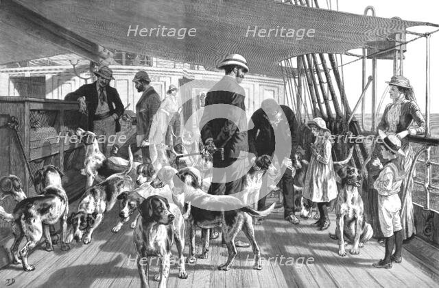 ''A Pack of Foxhounds passing through the Red Sea on their way to India--Early morning exercise', 18 Creator: Unknown.