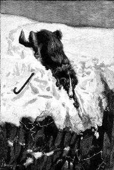 Lost!, drawn by S. Berkley, 1883. Creator: Eugène Froment.