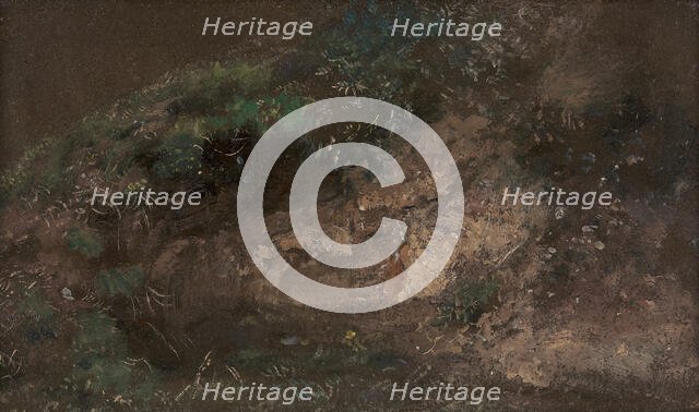 Undergrowth, ca. 1821. Creator: John Constable.