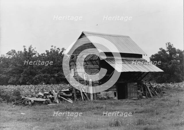 The tobacco barn, a distinctive American architectural form, Person County, North Carolina, 1939. Creator: Dorothea Lange.