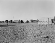 Camp of migratory workers, Imperial County, California, 1937. Creator: Dorothea Lange.