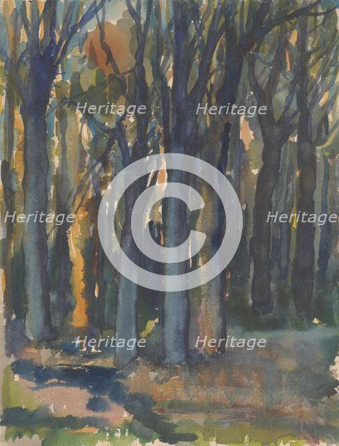 Forest, around 1935. Creator: Zolo Palugyay.