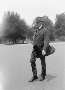 Harding, Warren Gamaliel, Senator from Ohio, 1915-1921, President of The U.S., 1921-1923, 1917. Creator: Harris & Ewing.