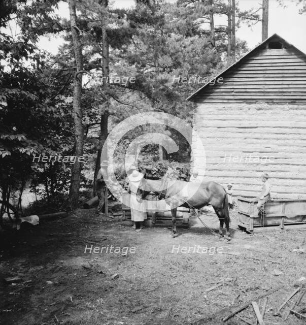 Possibly: Young son of tenant farmer gathering sticks..., Granville County, North Carolina, 1939. Creator: Dorothea Lange.