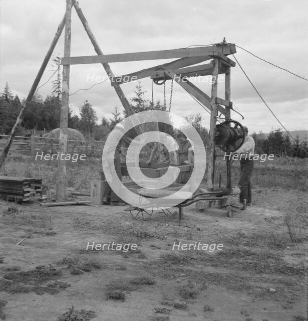 Kytta family, FSA borrowers on non-commercial experiment, Michigan Hill, Washington, 1939. Creator: Dorothea Lange.