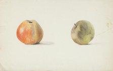 Two apples, late 19th century or first half of 20th century. Creator: Agnes Mary Webster.