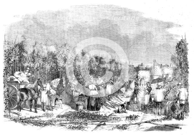 Hop-picking, 1858. Creator: Unknown.