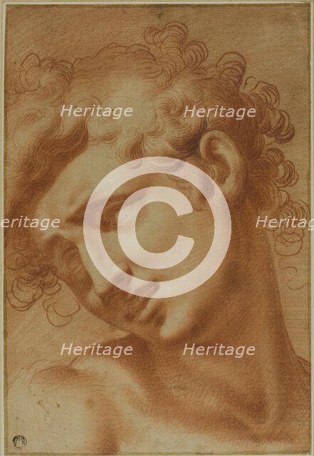 Head of a Youth, 1595/1605. Creator: Cristofano Roncalli.