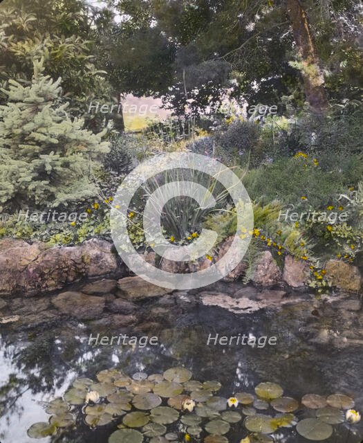 William Alexander Spinks, Jr., ranch, Foothill Boulevard, Duarte, California, 1917. Creator: Frances Benjamin Johnston.