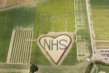 A field with flowers planted in the shape of a heart in support of the NHS, Hayling Island, 2020. Creator: Damian Grady.