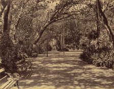 Sookh-Vilas Palace Garden, 1880-90. Creator: Lala Deen Dayal.